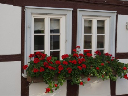 Foto: Alt-Oberurseler Brauhaus
